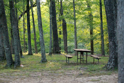 picnic table in shaded area