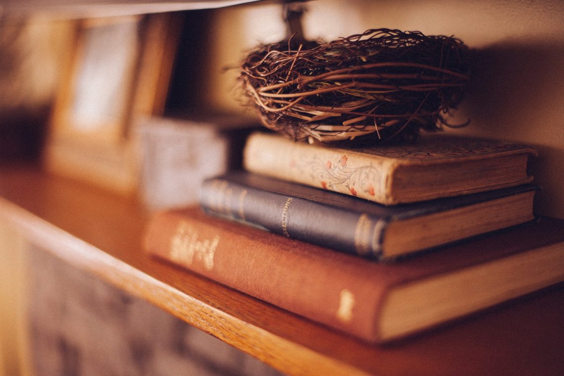 A bird's nest on top of a stack of books.