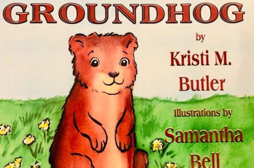 G is for GROUNDHOG book cover