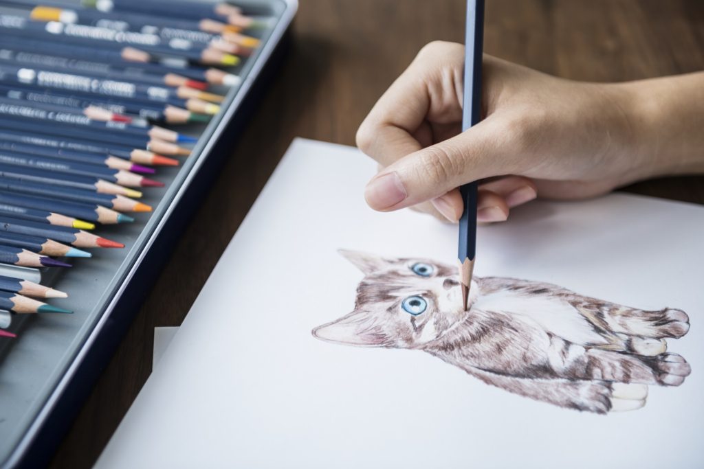 drawing cat art colored pencils