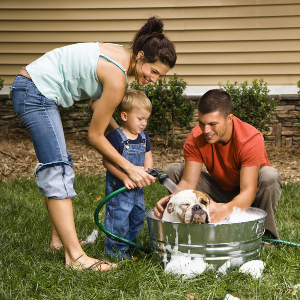 Family washing dog outside in tub. Memory Making Mom book review.