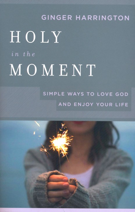 Holy in the Moment book cover