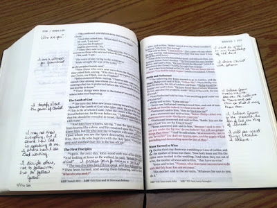 Journal Bible showing where Sally has journaled in the margins.