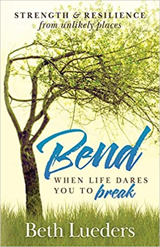 BEND book review