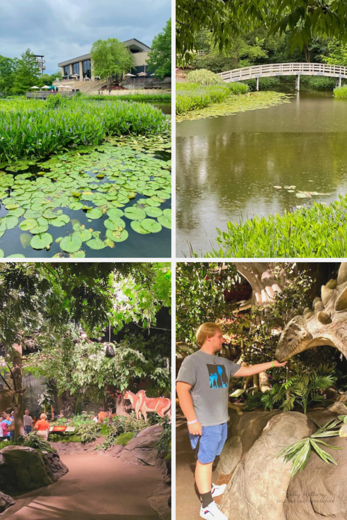 Shows the exterior of the Creation Museum, the pond with a bridge, inside the museum with life-like animal replicas