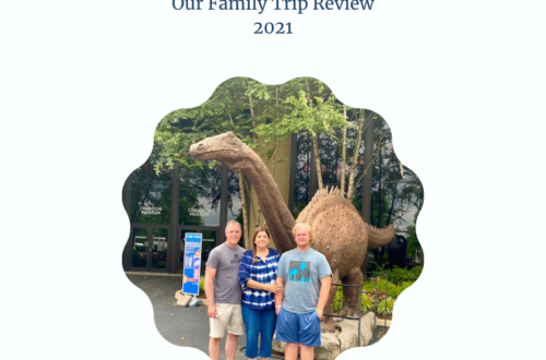 Creation Museum Family Trip Review
