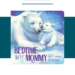 Bedtime with Mommy Book Review