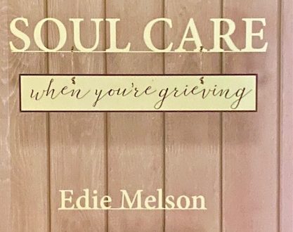 Soul Care When You're Grieving book