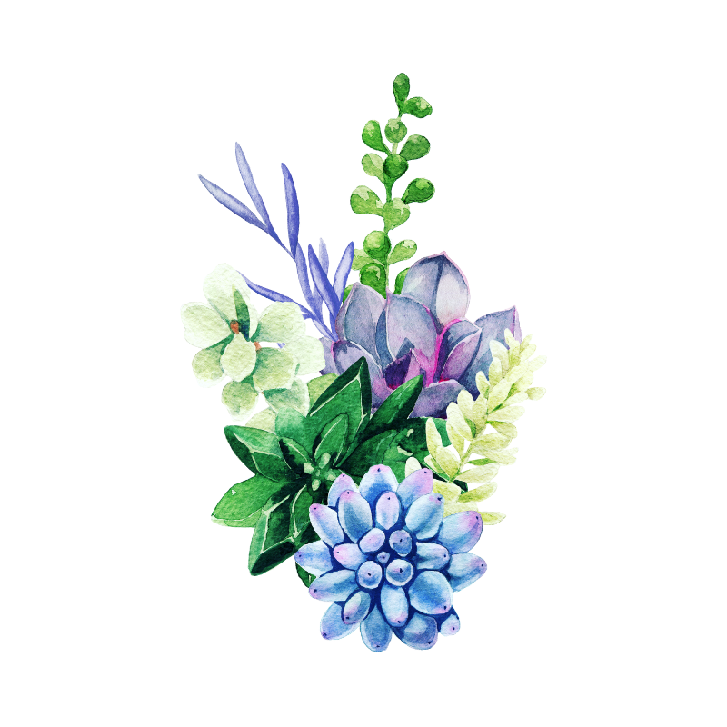 Watercolor graphic of purple flowers and green succulent plants. Canva, 2021.