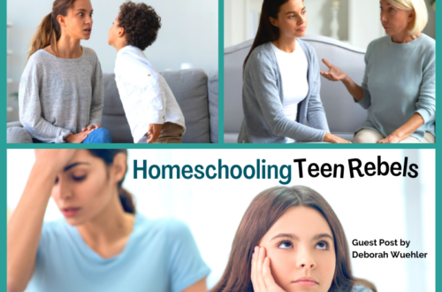 Homeschooling Teen Rebels