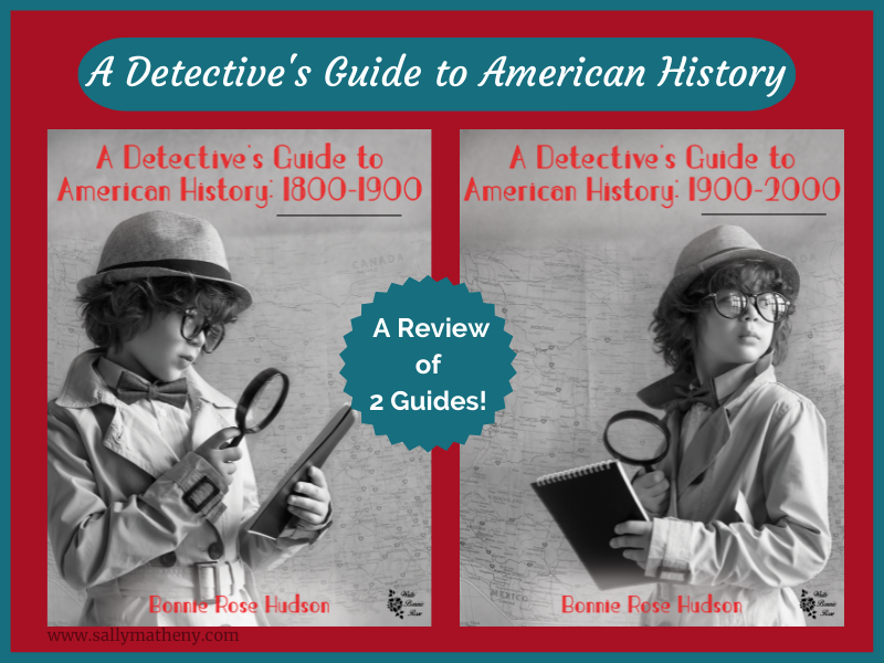 A Detective's Guide to American History blog graphic