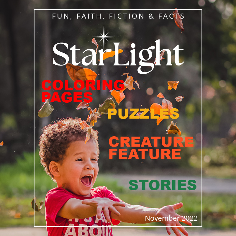 StarLight Magazine front cover