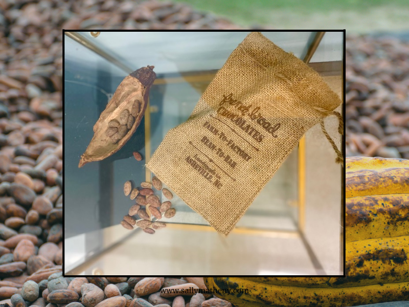 Shows a photo of a burlap bag stamped with the words: French Broad Chocolates - Farm-to-Factory, Bean-to-Bar. Asheville, NC. Also shows raw cacao beans in a pod. Photo was taken by Sally Matheny of a display at French Broad Chocolate Factory, 2022.