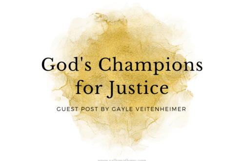 God's Champions for Justice by Gayle Veitenheimer