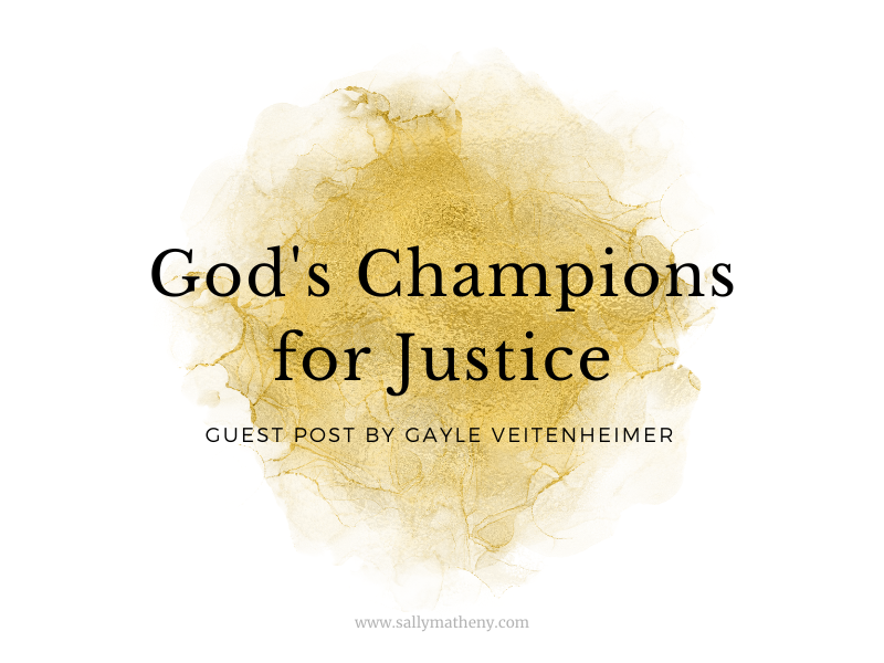 God's Champions for Justice by Gayle Veitenheimer