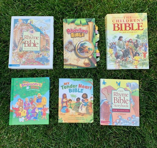 Shows six different children's Bible story books.