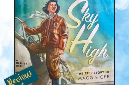 Shows book cover of Sky High. Text: Sky High WASP Aviation Book Review