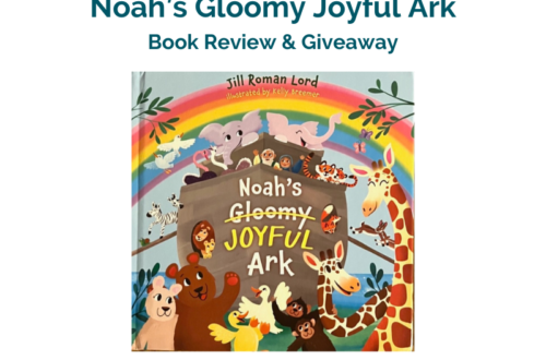 Book cover of Noah's Gloomy Joyful Ark