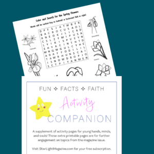 Shows samples of StarLight's Activity Companion. Spring Word Search puzzle.