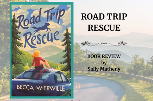 Shows book cover of Road Trip Rescue.