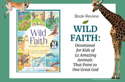WILD FAITH Book Cover. Book Review